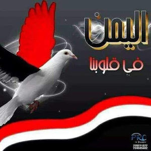 Meet your Posher, Sami